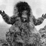 Yeti